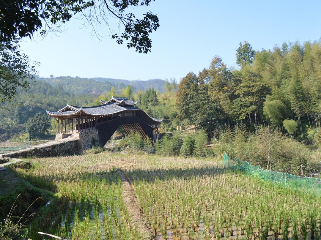 文兴桥景点图片