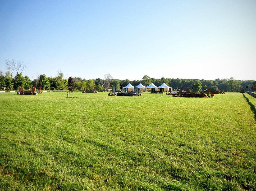 Angelstone Tournaments-Erin必去景点