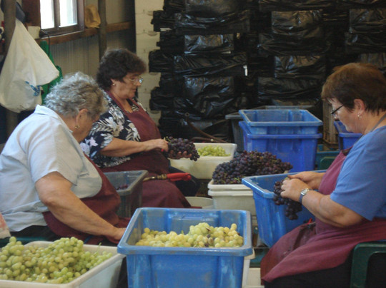 天鹅河历史路径-Guildford必去景点