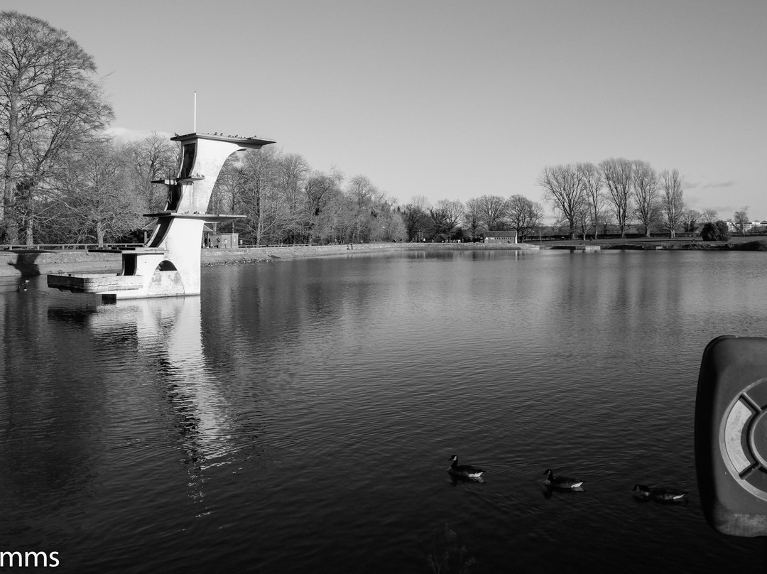 Coate Water Country Park景点图片