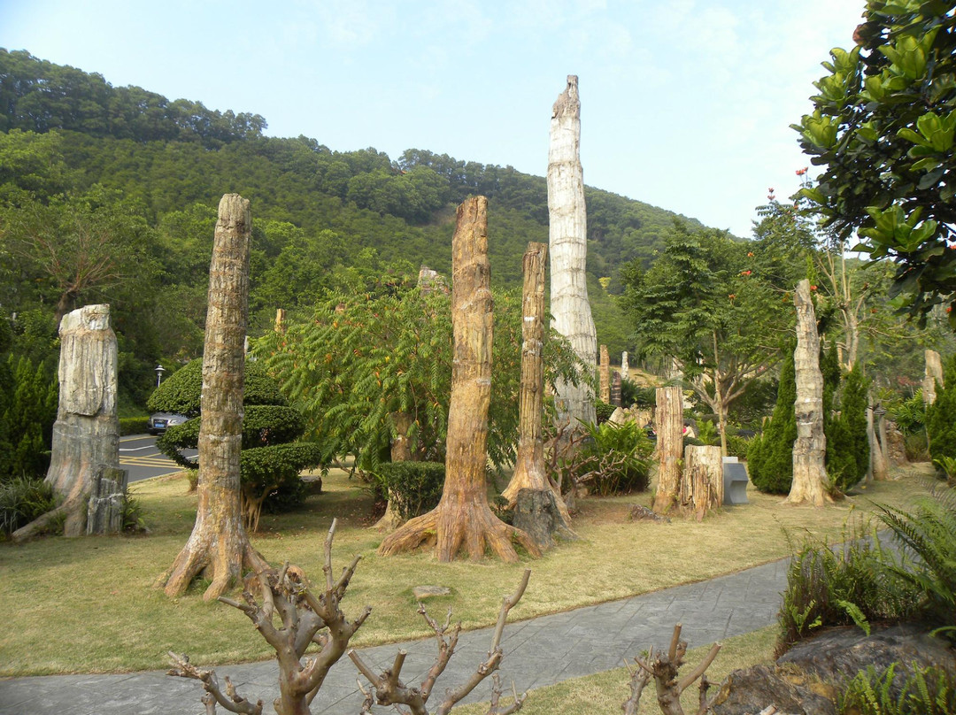 仙湖植物园-深圳市必去景点