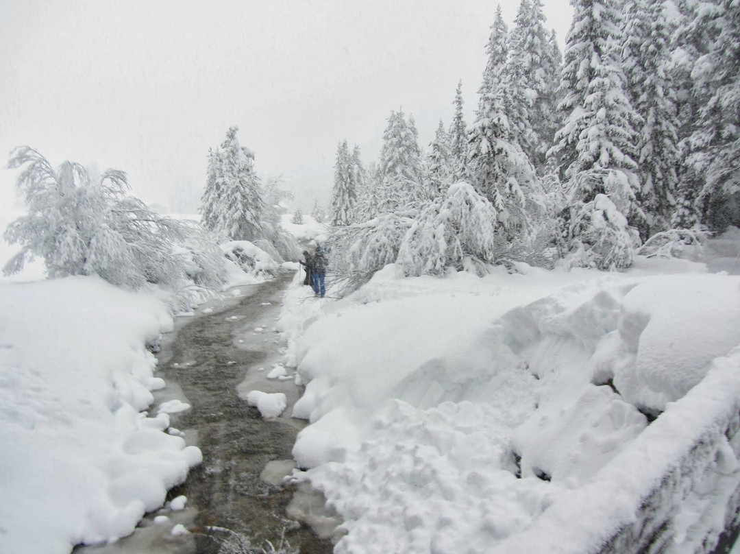 Cross Country Ski School Alta Badia Easydolomites-圣卡夏诺必去景点
