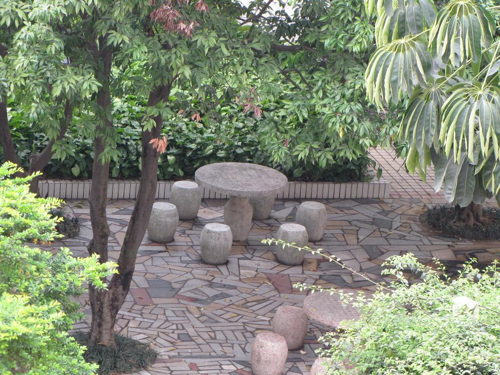 金花茶公园景点图片