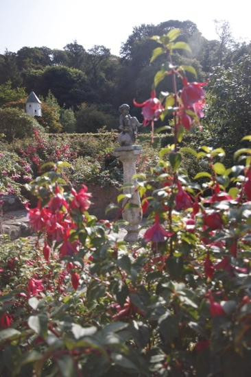 Colby Woodland Garden (National Trust)-Amroth必去景点