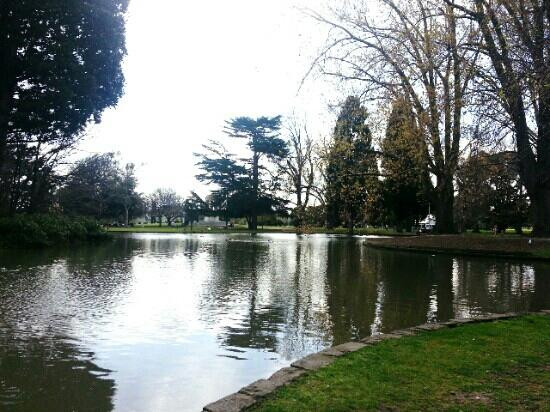 Caulfield Park景点图片