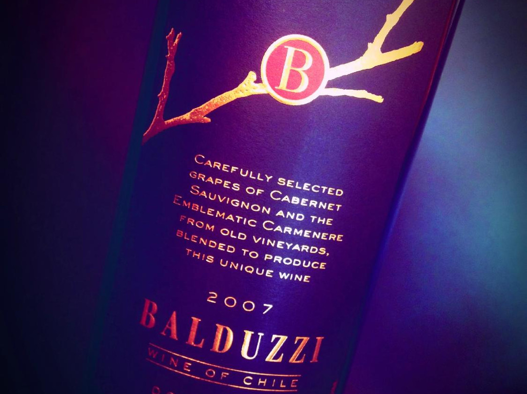 Balduzzi Vineyards & Winery-San Javier必去景点