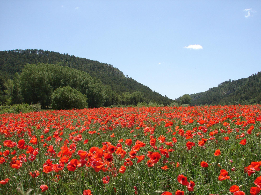 Casa de los Maestros主图