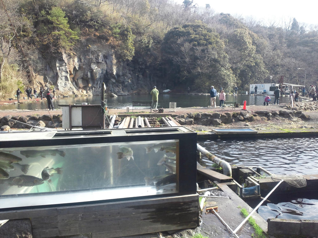 Susono Fishing Park-裾野市必去景点