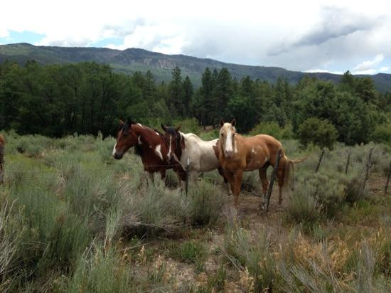 Hole in the Wall Stables-杜兰戈必去景点