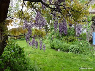 B&B Al Giardino di Rosi主图