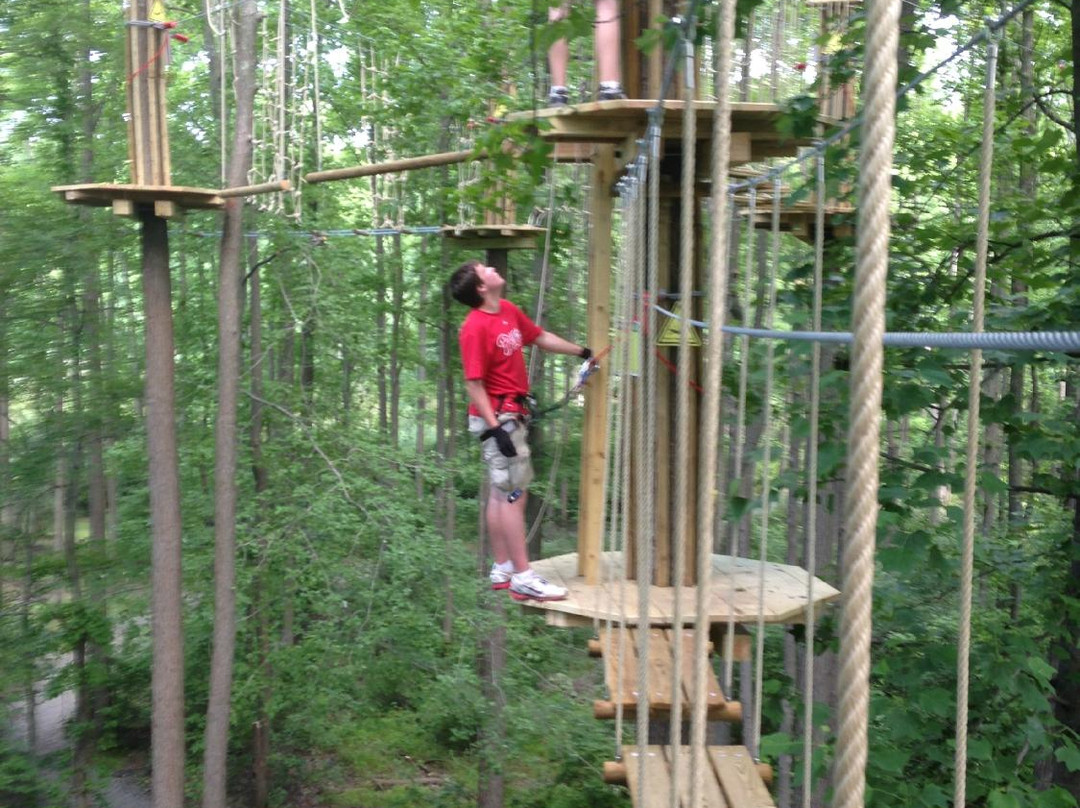 Go Ape Zipline & Adventure Park-Bear必去景点