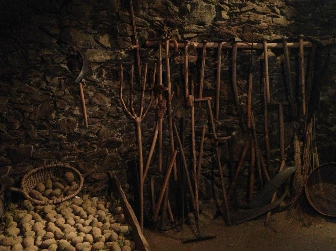 Museu Casa Rull-西斯伯尼必去景点