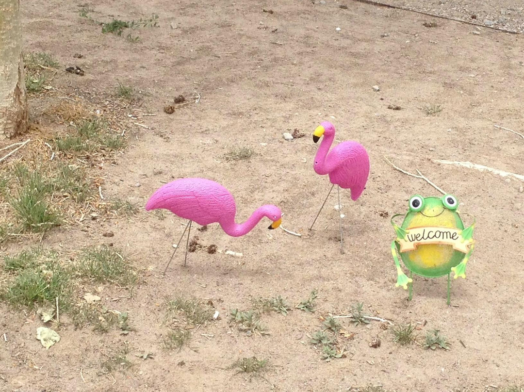 Isleta Lakes-Isleta必去景点