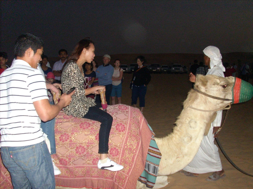 迪拜沙漠保护区-迪拜酋长国必去景点