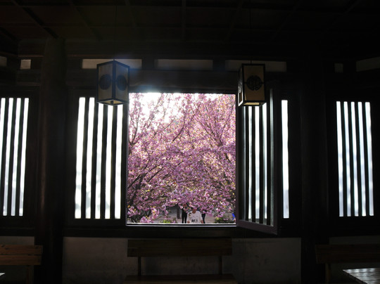 青龙寺-西安市必去景点