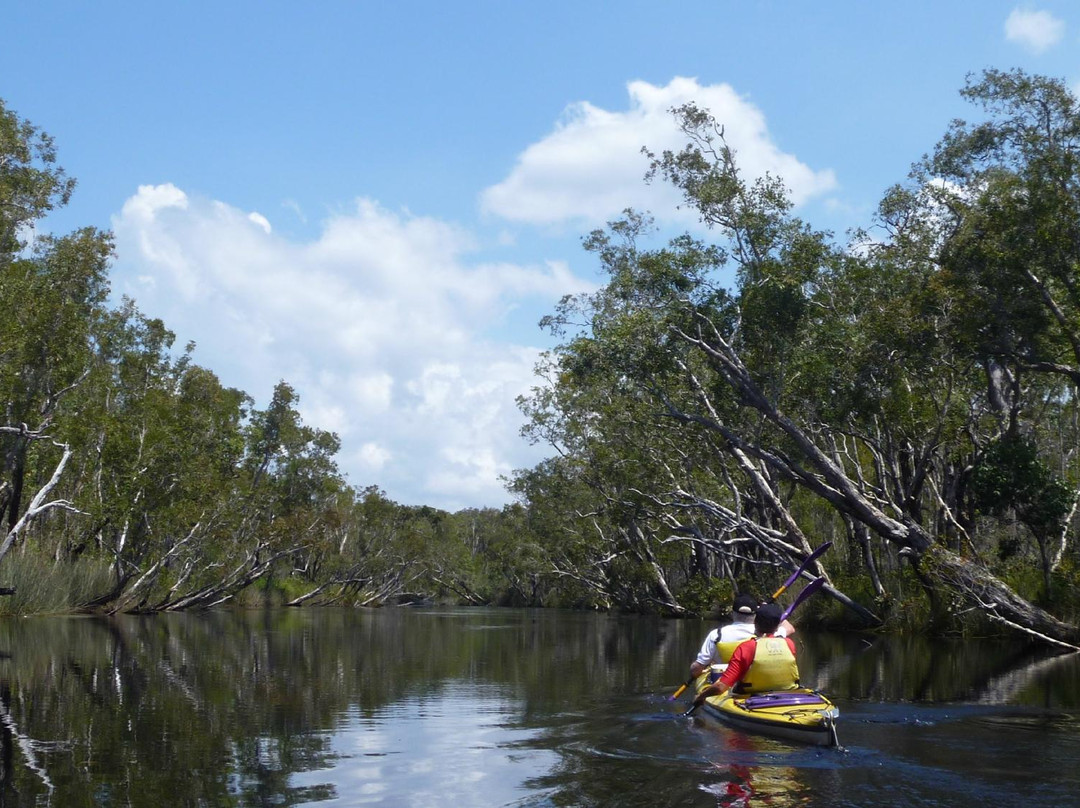 Kanu Kapers Australia Noosa Everglades Kayak Day Tours景点图片