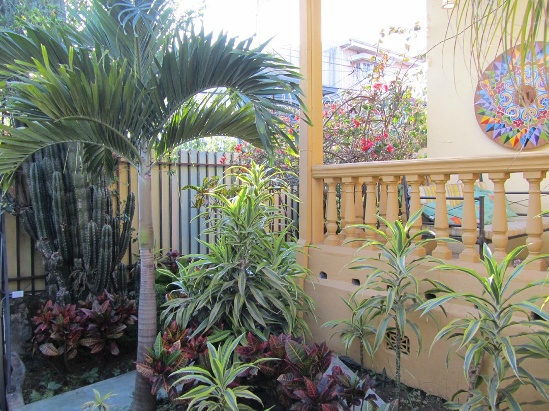 Hotel Mellow Yellow主图