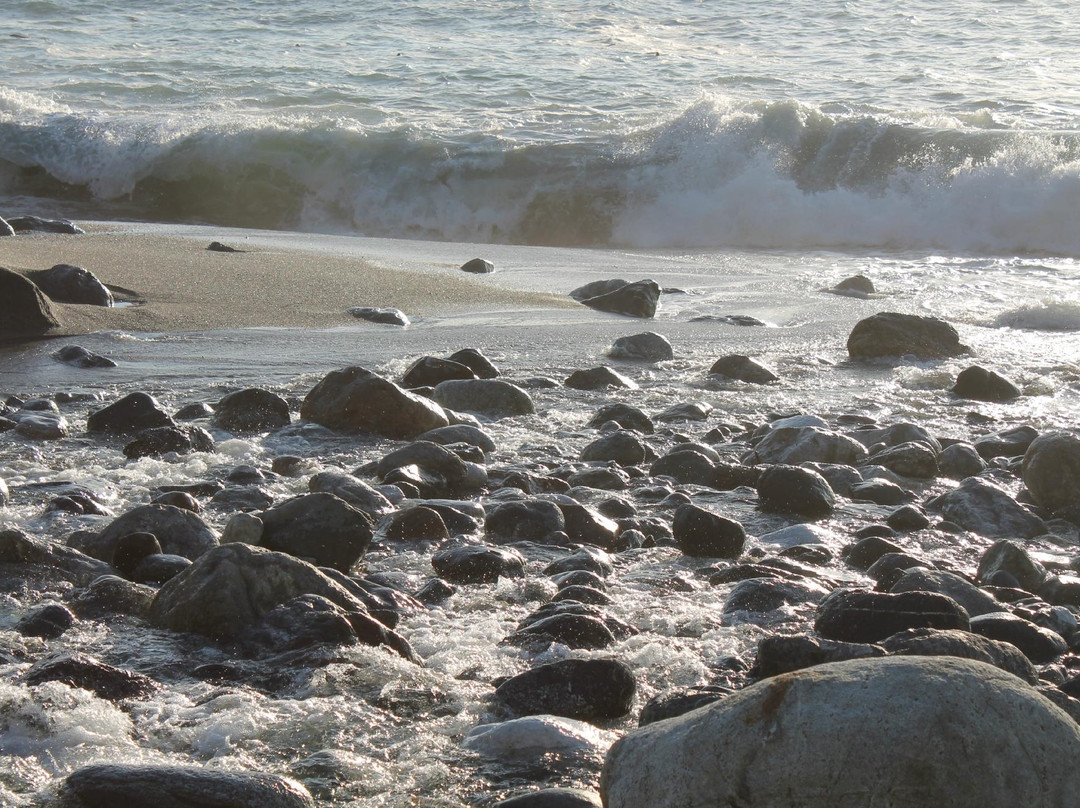 石灰窑州立公园-大苏尔必去景点