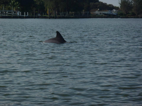 Shan-T Native Kayak Tours, Inc.-布雷登顿必去景点