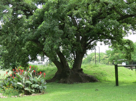 Polo Day - El Retiro Polo Club-Zelaya必去景点