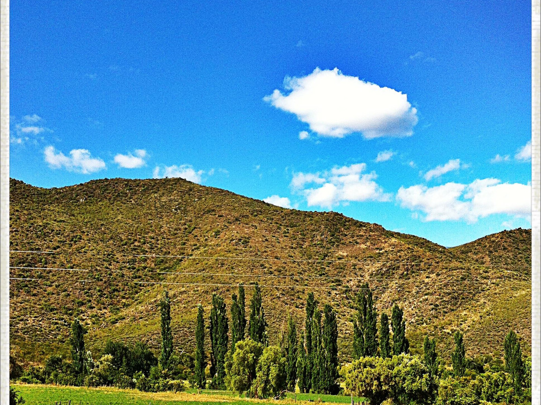 Wilgewandel Holiday Farm-奥兹洪必去景点