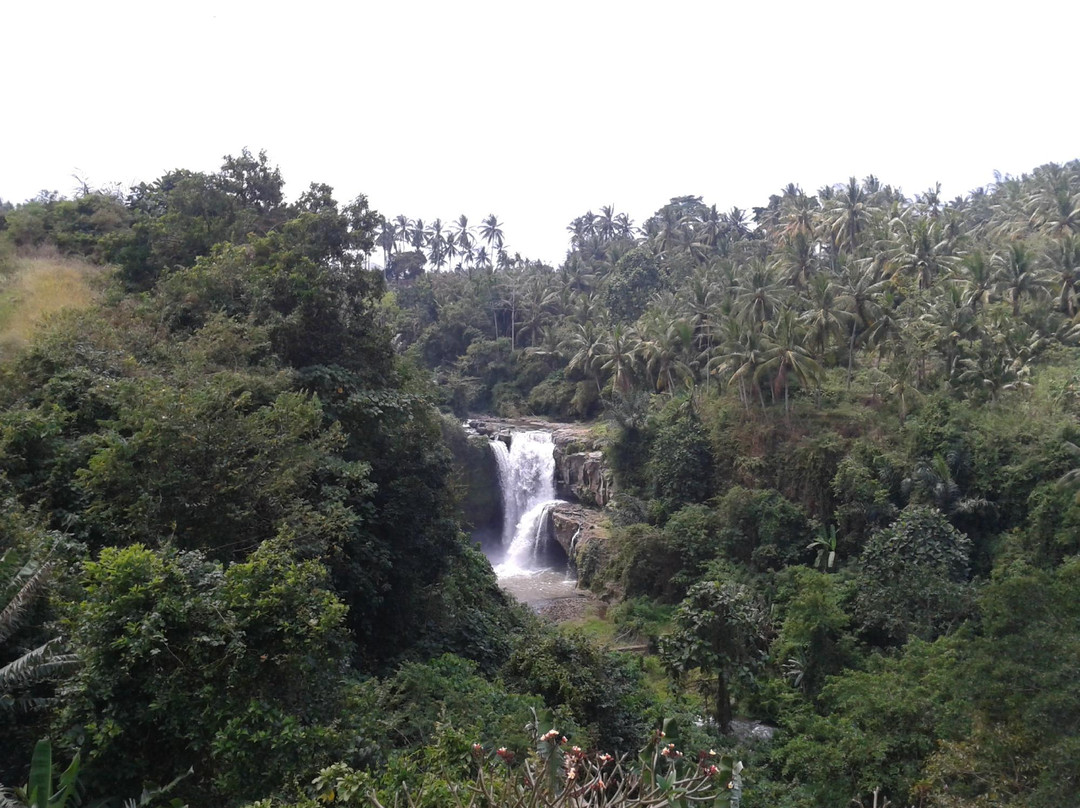Bali Trip Buddy - Transporter in Paradise-库塔必去景点
