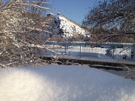 麦田国际青年旅舍主图