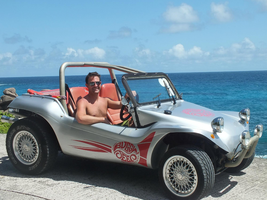Buggy & Jeep Rental/Sales/Bungalows景点图片