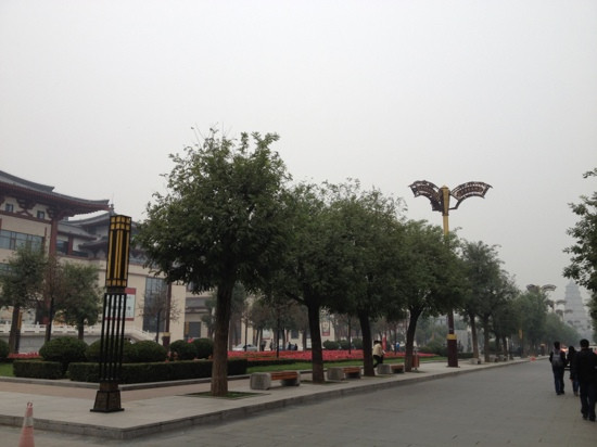 大唐不夜城-西安市必去景点