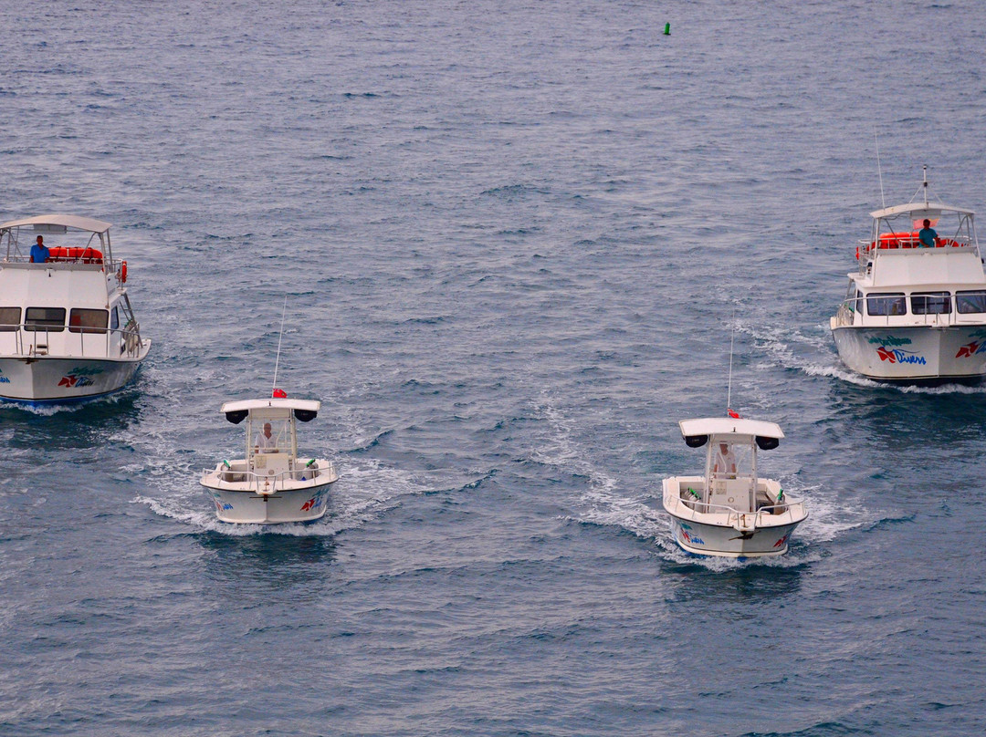 Sail Caribbean Divers-Road Town必去景点