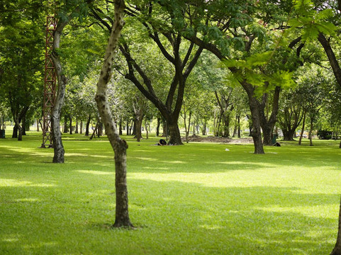 恰图恰公园-曼谷必去景点