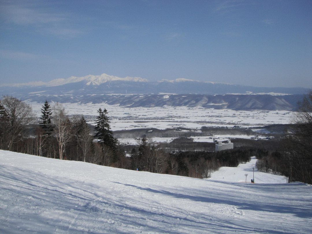 富良野滑雪场-富良野市必去景点