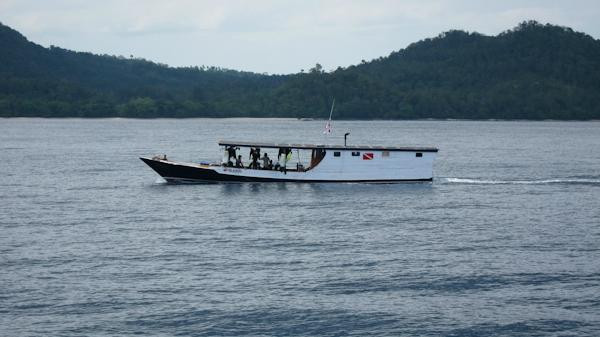 Reef Wreck and Critter - Underwater Photography-图兰本必去景点