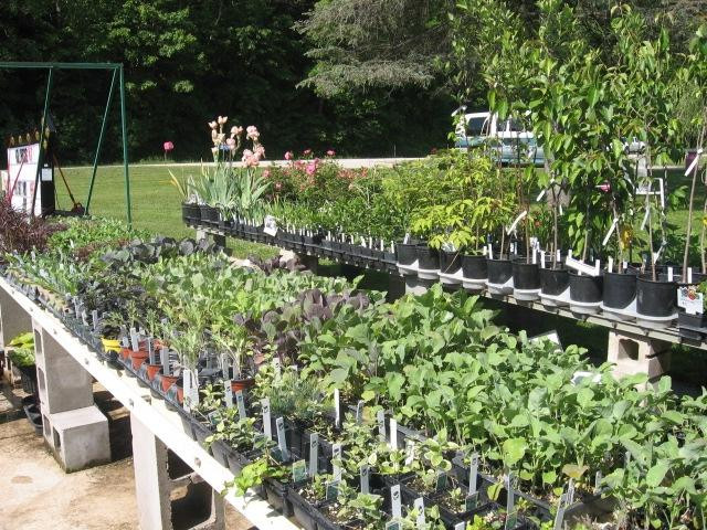 Sustainable Dream Greenhouses-Lanesboro必去景点