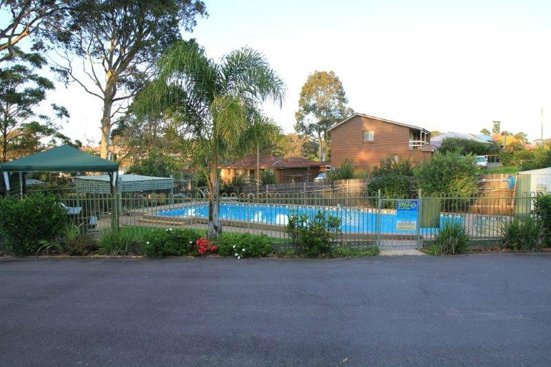 The Tree Motel主图