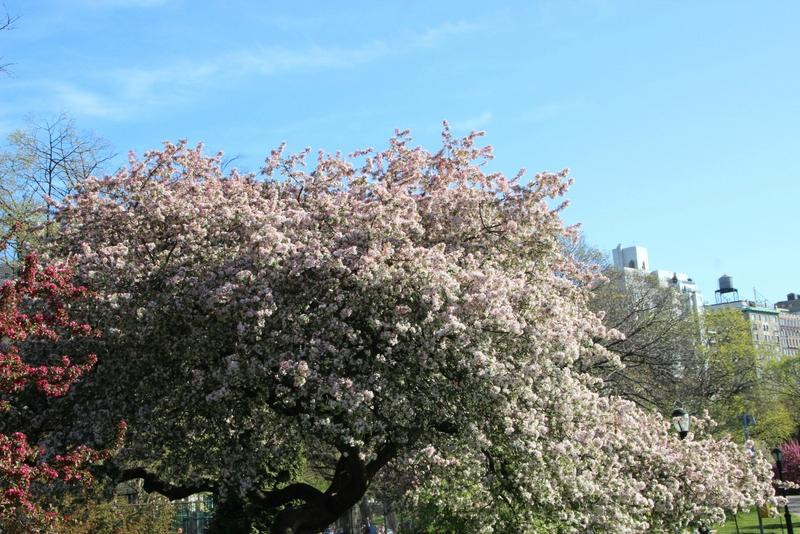 河滨公园-纽约市必去景点