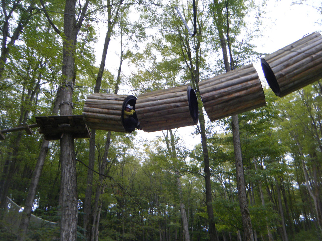 Treetop Trekking-Barrie景点图片