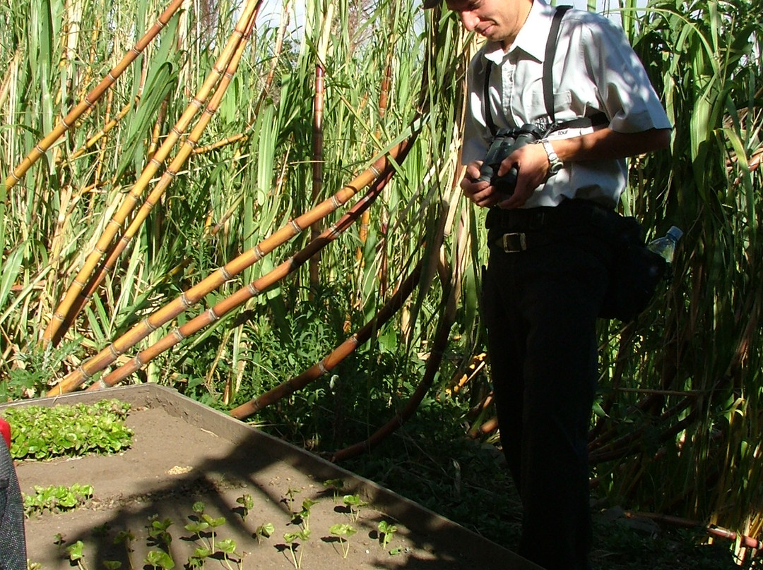 El Trapiche Tour-蒙特沃德必去景点