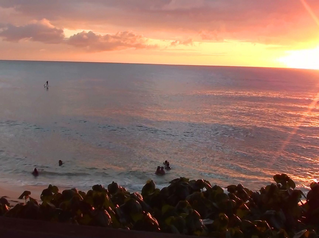 日落海滨公园-哈雷瓦必去景点