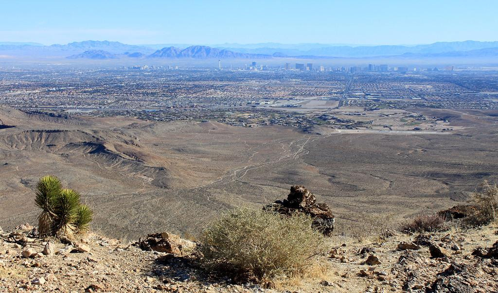牛仔骑马游-拉斯维加斯必去景点