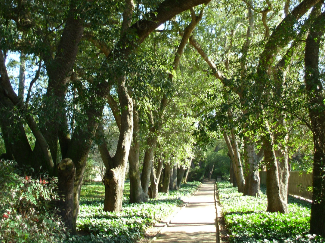 Hopelands Gardens景点图片