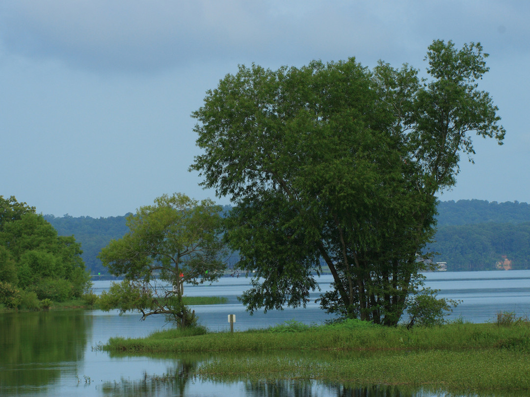 George T. Bagby State Park景点图片