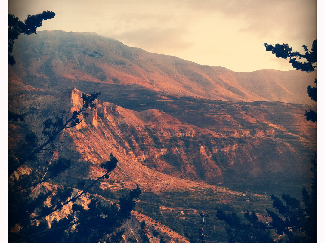 Qadisha Caves-Bcharre必去景点