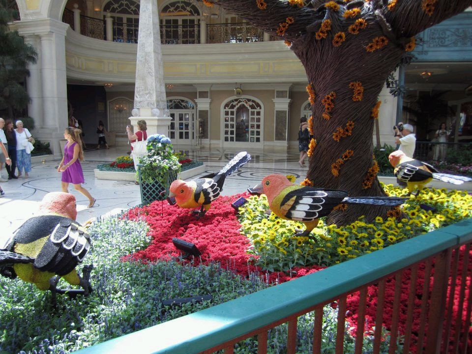 贝拉吉欧温室植物园-拉斯维加斯必去景点