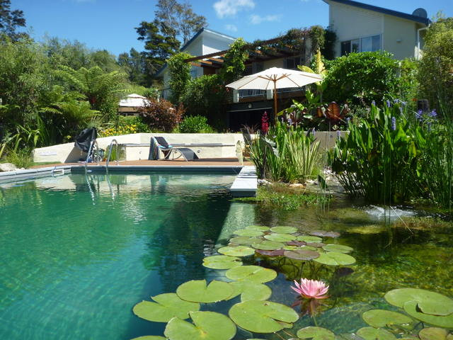 Takaka Hill旅游攻略图片