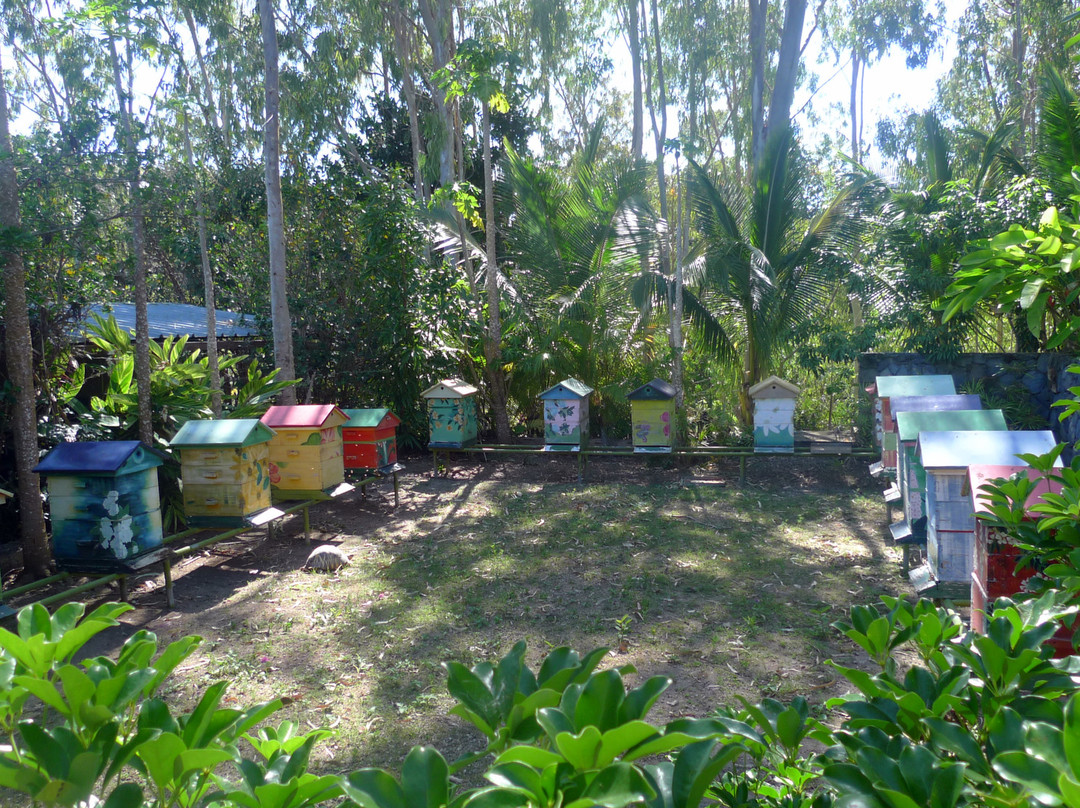 White Coconut Residence主图