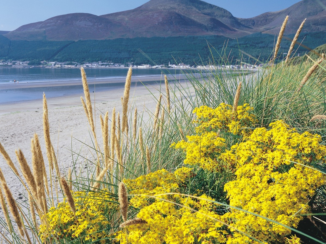Murlough National Nature Reserve景点图片