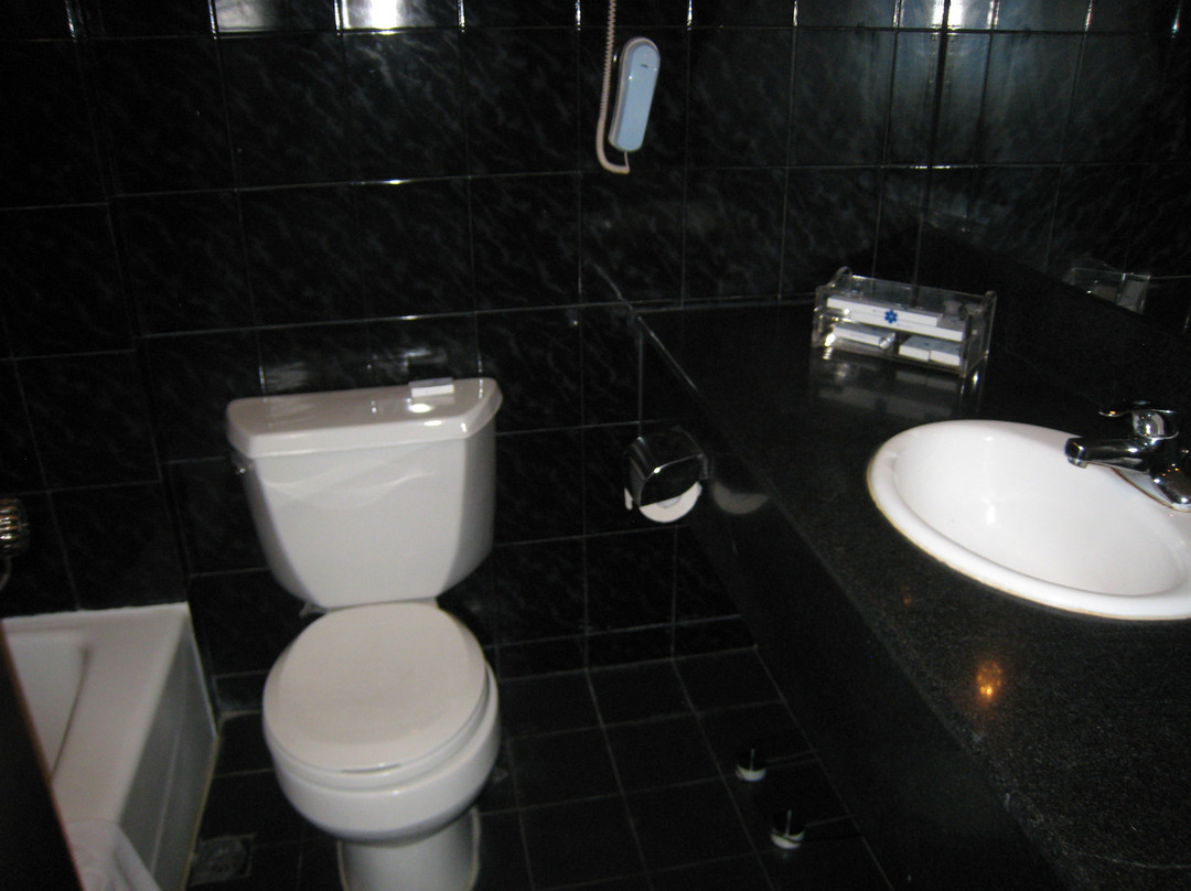 蓝宫大饭店主图