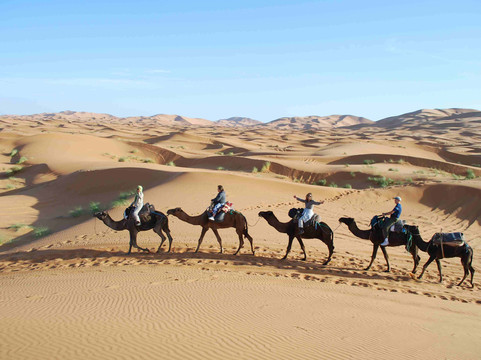 Tour in Marocco-马拉喀什必去景点