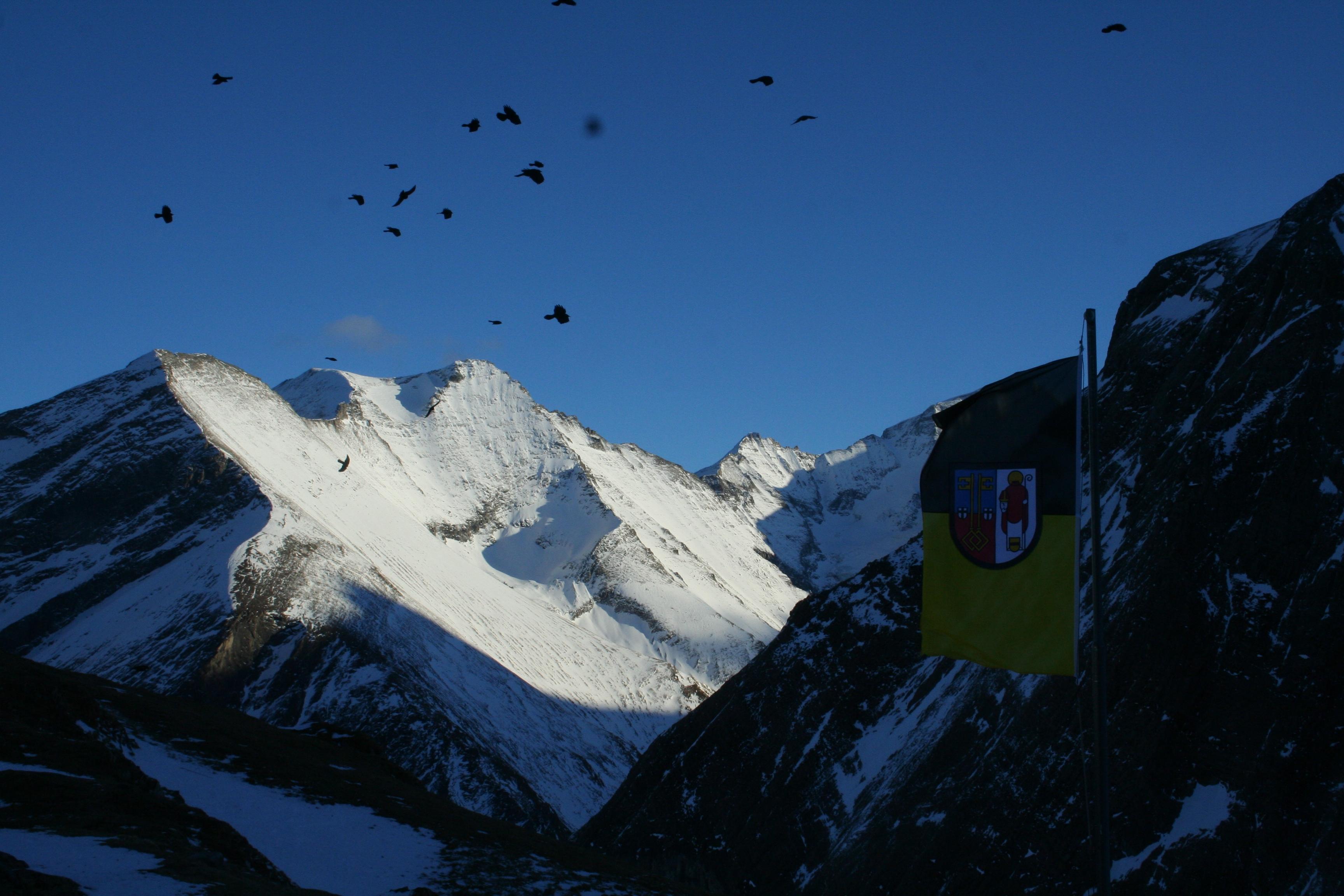 Krefelder Hutte-客卧